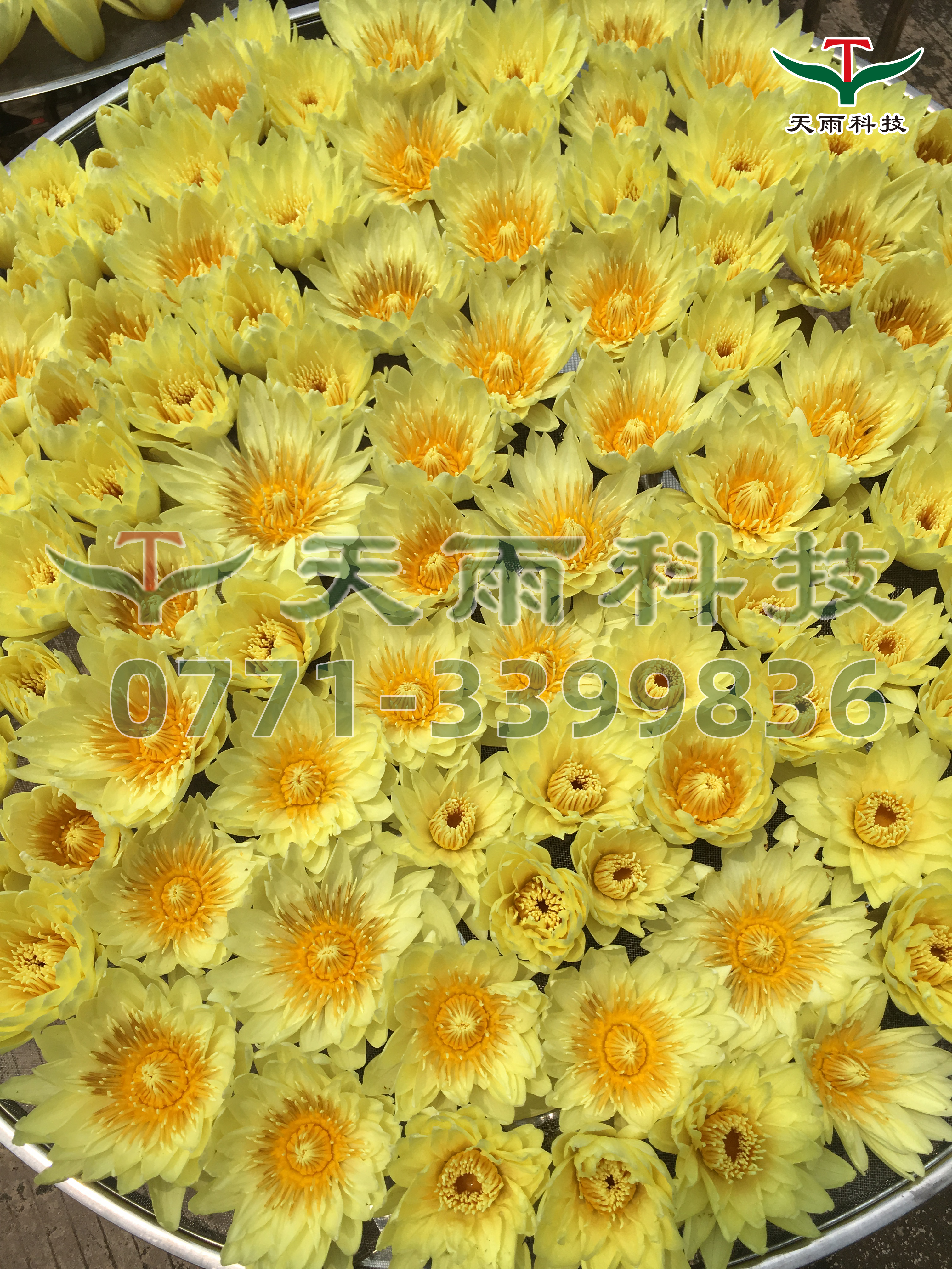 93ec81adab96f6784332aa637609c4e.jpg