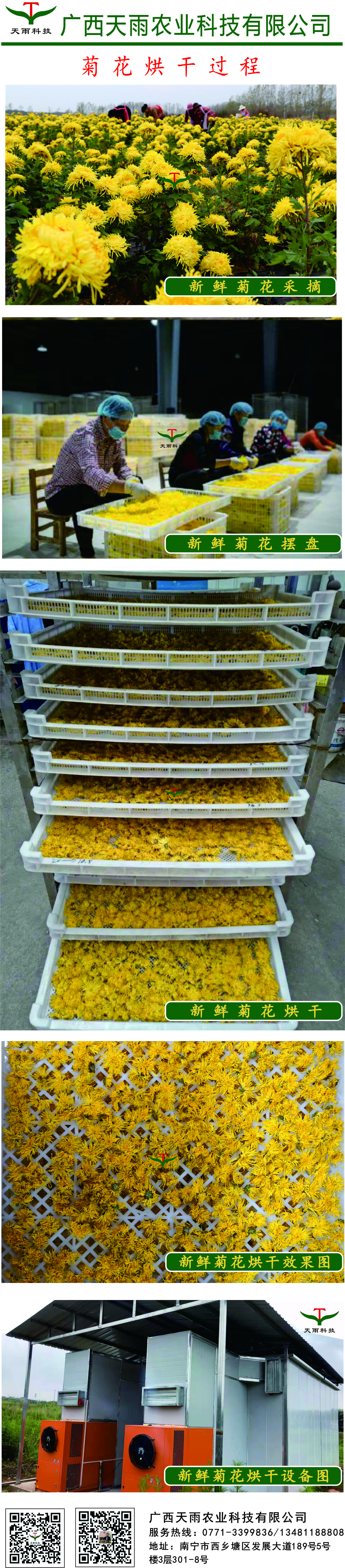 廣西菊花烘干機價格介紹.jpg